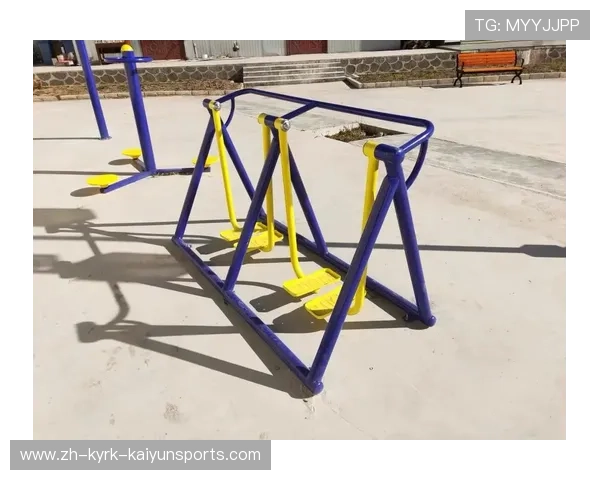 国内健身器材哪个牌子最好?推荐体育爱好者必选品牌 国内健身器材哪个牌子最好?推荐体育爱好者必选品牌